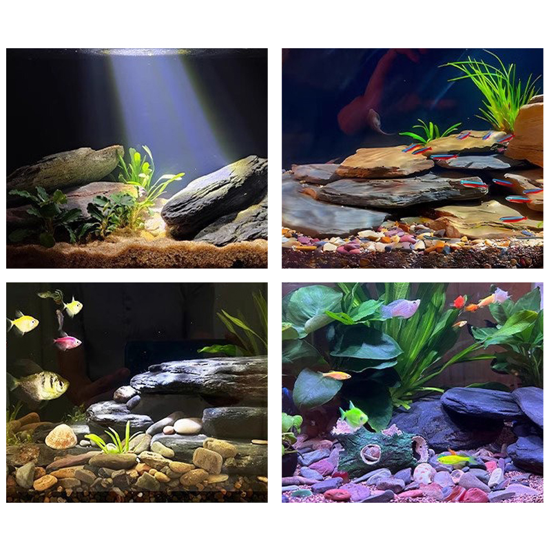 Набор камней для аквариума 500 – обзор и цена Marine Fish Tank