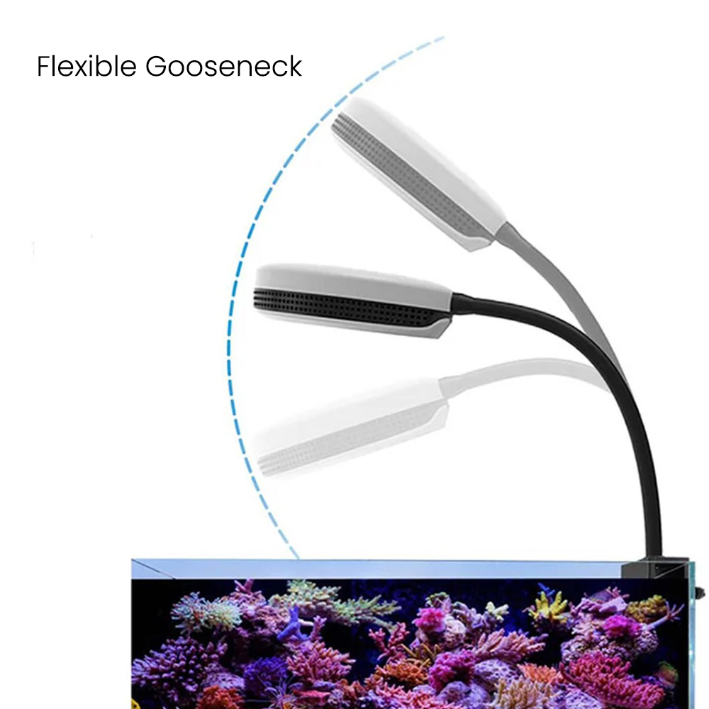 Светодиодный светильник Spectr – обзор и цена Reef Lighting