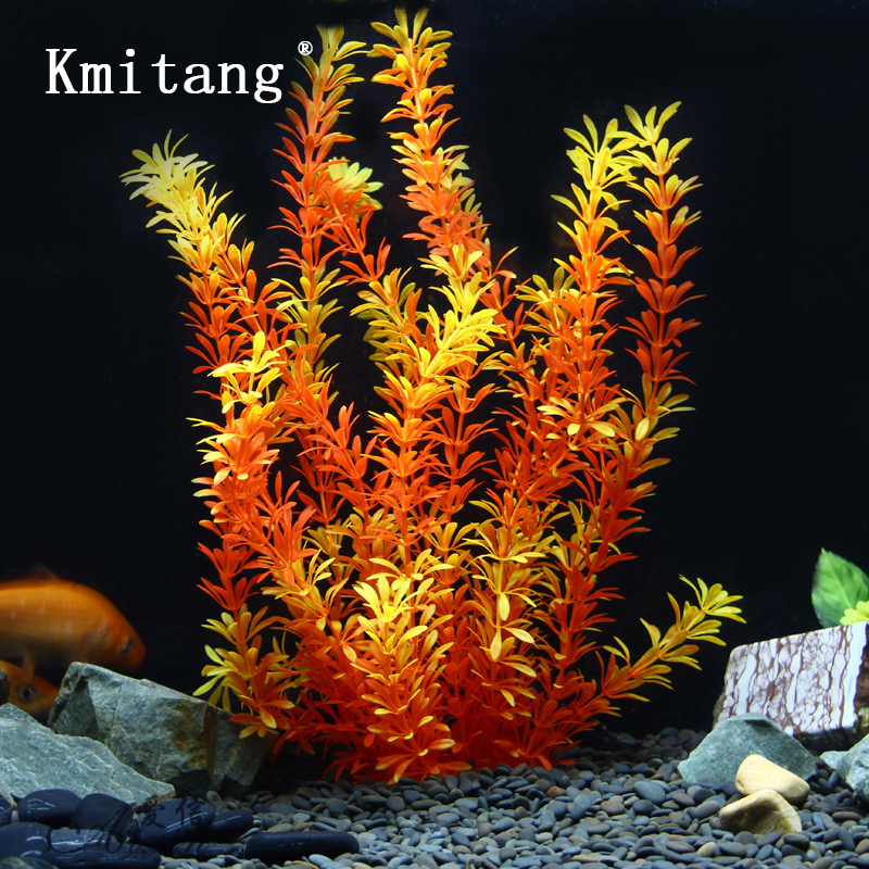 100 см Тропические растения, б – обзор и цена Marine Fish Tank