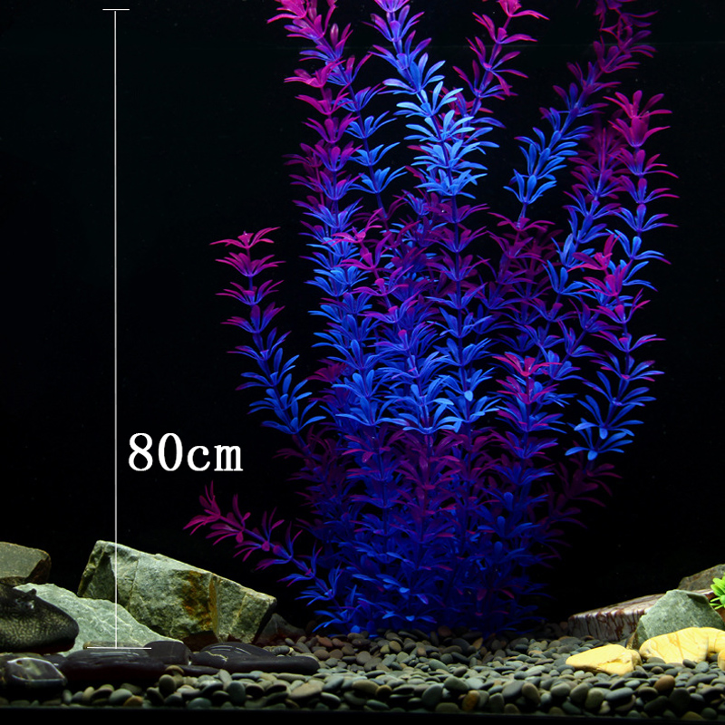 100 см Тропические растения, б – обзор и цена Marine Fish Tank