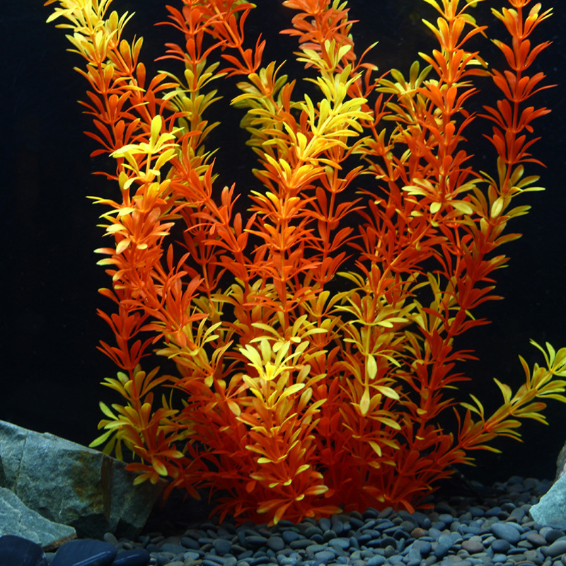 100 см Тропические растения, б – обзор и цена Marine Fish Tank