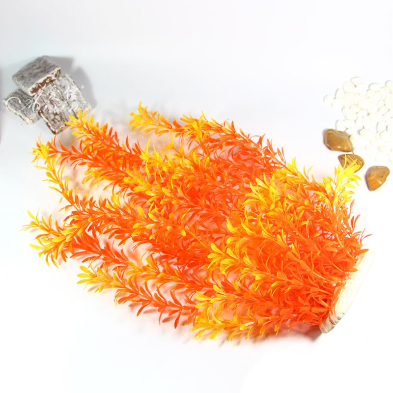 100 см Тропические растения, б – обзор и цена Marine Fish Tank