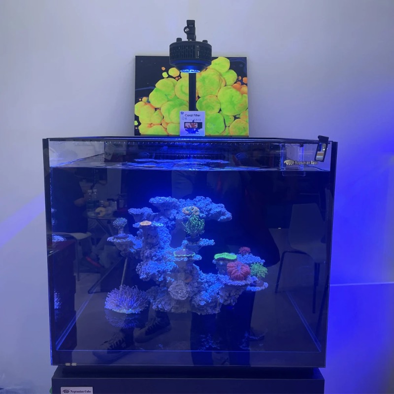 Светодиодные аквариумные свети – обзор и цена Reef Aquarium